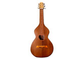 Acoustic  6 String Guitar